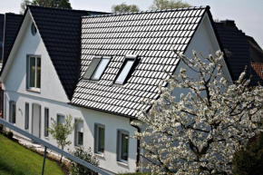 Fewo Elbblick im Haus Lühegarten